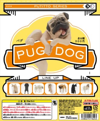 Kitan Club Putitto Series Pug Dog Hunde パグ Completed Set 8pcs Ebay
