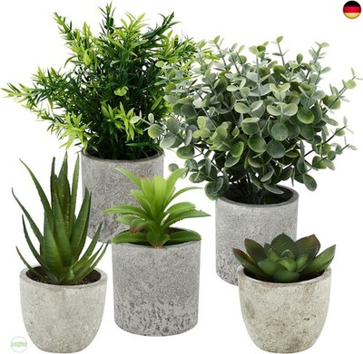 5 Stück Kunstpflanze, Mini Künstliche Pflanzen Schlangenzunge, Agave S