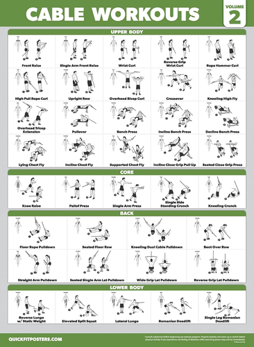 3 Pack - Cable Machine Workout Posters Volume 1 & Volume 2 + Kettlebell Exercise - Picture 7 of 12