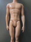 Mattel Barbie Ken Doll 12" Blue Eyes Brunette Hair 2009 Back 2012 Neck — photo 5