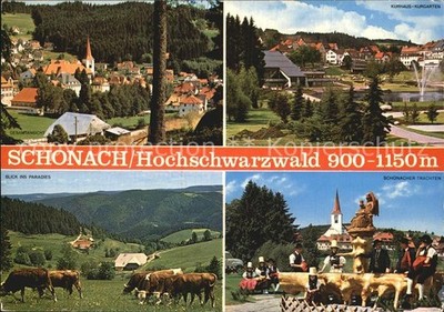 Schonach Black Forest general view cow pasture spa house and spa garden costume stretcher