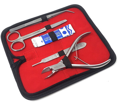 Coral Reef In Foggy Winter Sunset | Stable Diffusion Online