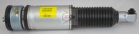 Dunlop Luftfederbein DAS10033 FüR Bmw E66 E65 E67 7Er 730 735 740 745 750 760
