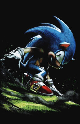 Sonic The Hedgehog's 900th Adventure #1 Dell'Otto Virgin Variant