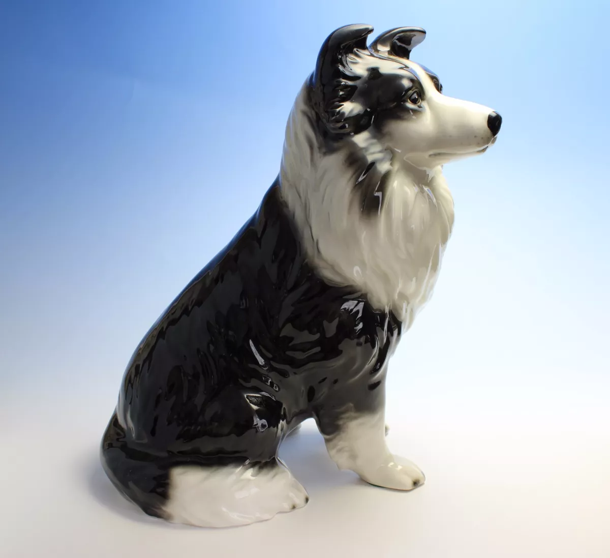 Large border cheap collie