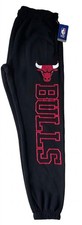 Chicago Bulls Collecting and Fan Guide 21