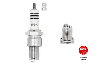 NGK 3981 Spark Plug for ALFA ROMEO,ALPINE,AUTOBIANCHI,BMW,JAGUAR,LANCIA,MAZDA,NS