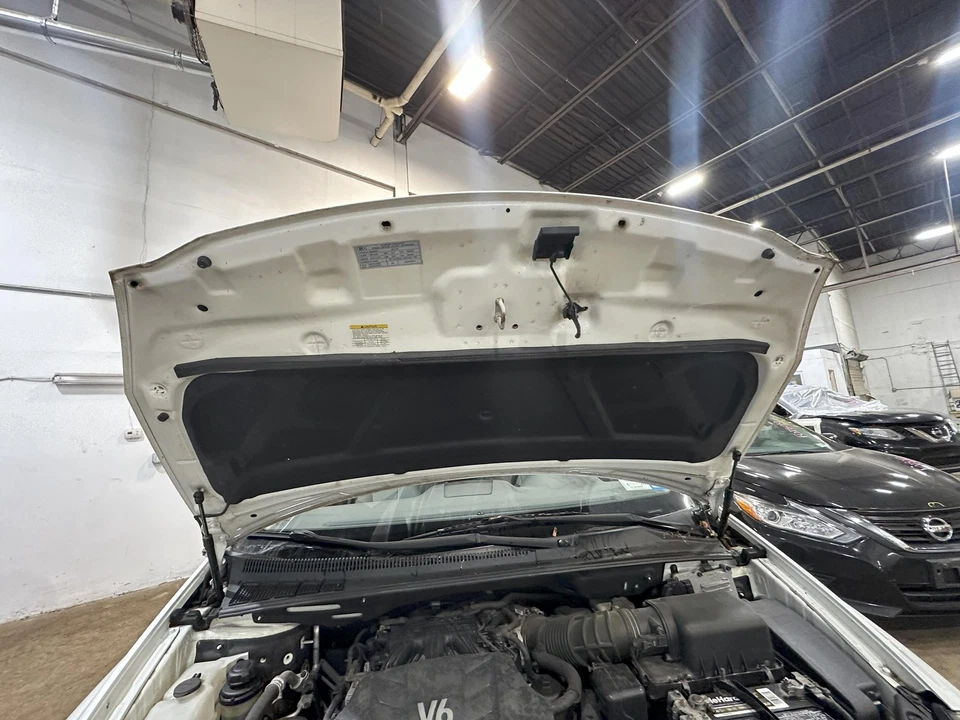 Used Hood fits: 2012 Kia Sedona Grade A - Image 4 of 4