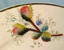 Briar Rose Salad Plate Porcelain An Antique Beauty Nice Condition