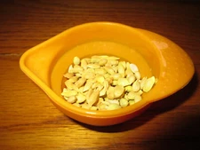 25 Count Organic Non GMO Dwarf Meyer Lemon Sun Dried Seeds LOT California Fresh