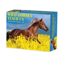 What Horses Teach Us 2026 5.4 X 6.2 Box Calendar (Bookbook - Detail Unspecified)