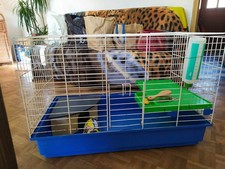 Cage lapin 2 niveaux plastique/métal bac bleu grille blanche étage vert