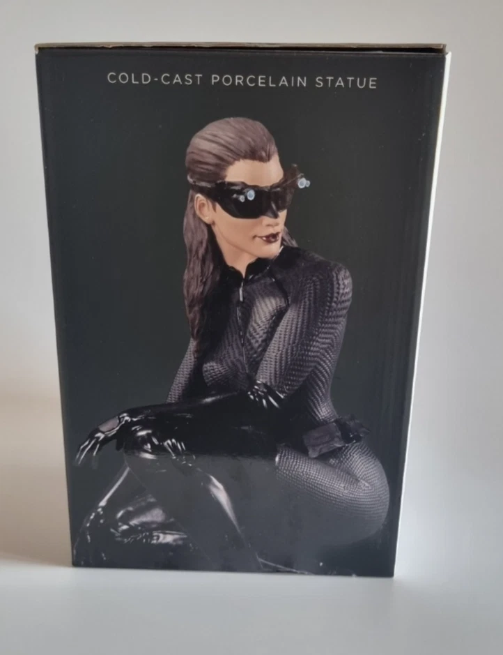 DC Collectibles 1/6 Scale CATWOMAN Statue THE DARK KNIGHT RISES Sammelfigur Rare - Bild 4 von 4