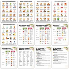 iyouthlife 12 Pcs Kidney Friendly Food List Poster,