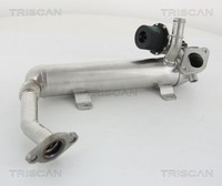 Triscan KüHler, AbgasrüCkfüHrung 8813 29319 FüR Audi Seat Skoda Vw