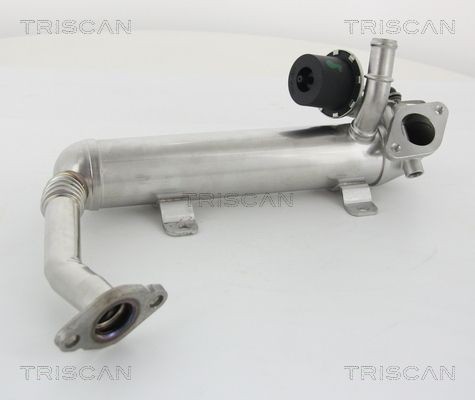 Triscan KüHler, AbgasrüCkfüHrung 8813 29319 FüR Audi Seat Skoda Vw-image