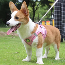 Reflective Pet Harness and Leash Set for Dog  Cat, No Pull Dog Vest Harness wit