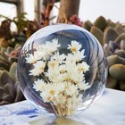 3D Ball DIY Round Mold Silicone Resin Sphere Jewelry Soap Making Mould 20-100mm