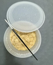 Mature Microworm  Culture With Brush For Harvesting 