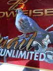 RARE LARGE BUDWEISER QUAIL UNLIMITED BEER BUD BAR MIRROR 33x28 — photo 10