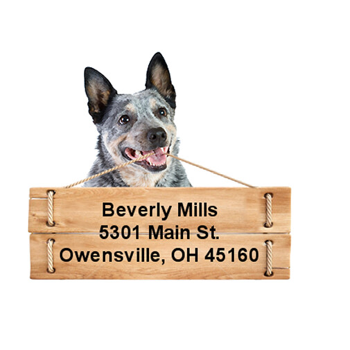 Australian Cattle Dog Blue return address labels DIE CUT TO SHAPE eBay