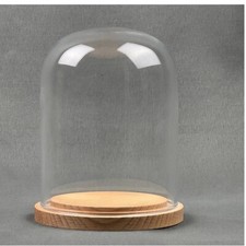 EMH Small Glass Dome Display Cloche Natural Wooden Base 13 x 10 cm