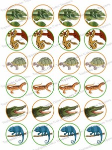 reptile cupcake toppers