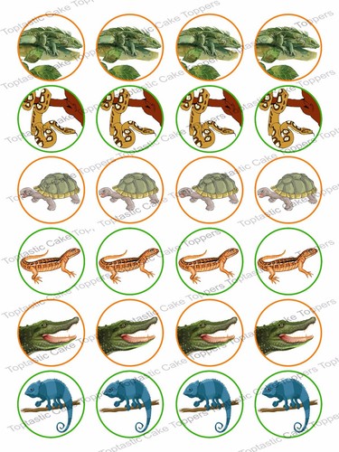 24 Reptile Snake Lizard Icing Cupcake Fairy Cake Party Bun Toppers EBay 24 Reptile Snake Lizard Icing Cupcake Fairy Cake Party Bun Toppers EBay