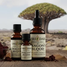 Organic Dragon’s Blood Essential Oil – 100% Pure & Natural – Free Shipping