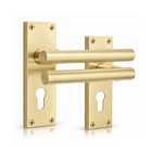 Door Handle Satin Brass Sprung Lever on Backplate Euro Profile Interior Pull Set