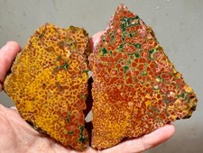 Kabamby Ocean Jasper Rough Slabs!