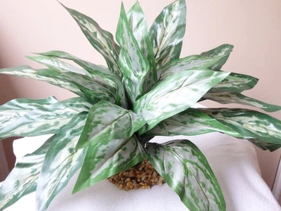 LOWER FORTY FARM 12"h x 16"w XL SILVER King SWORD Silk Goldfish & Betta-safe shade plant, stone b