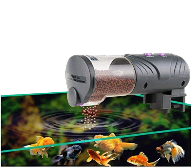 fish tank auto feeder