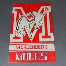Muhlenberg College Mules Allentown Pennsylvania 4x6 Scrapbook Art Artwork