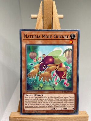 Naturia Maulwurf Grille - 1. Auflage DABL-DE020 - NM - YuGiOh