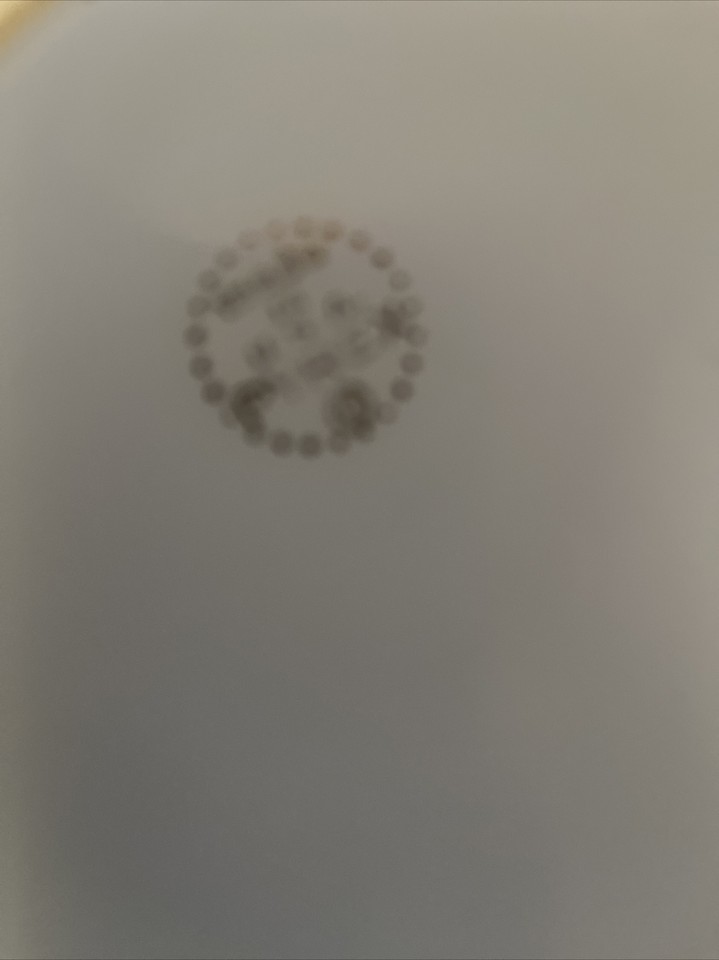 Vintage Pyrex 9” Serving Bowl Line Green Rim Milk Glass Bowl eBay