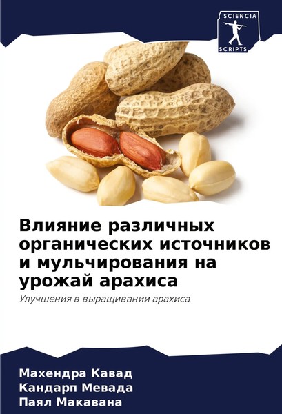Vliqnie Razlichnyh Organicheskih Istochnikow I Mul'chirowaniq Na Urozhaj Arahisa-image