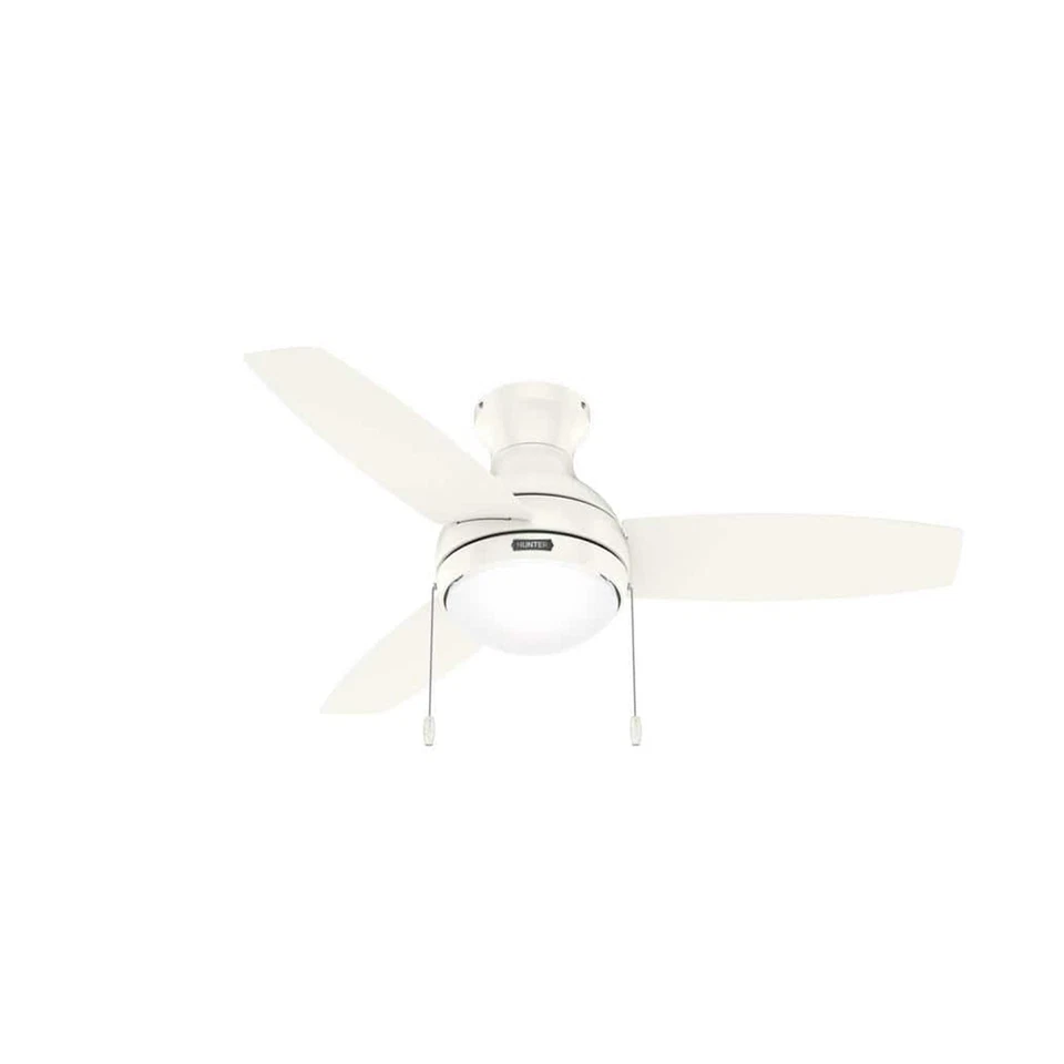 Hunter Fan 44 inch Low Profile Fresh White Ceiling Fan with Light and Pull Chain