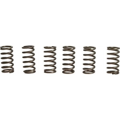 2014 Suzuki GSX1300 Hayabusa 50th Anniversary Edition CSK Clutch Spring Upgrade