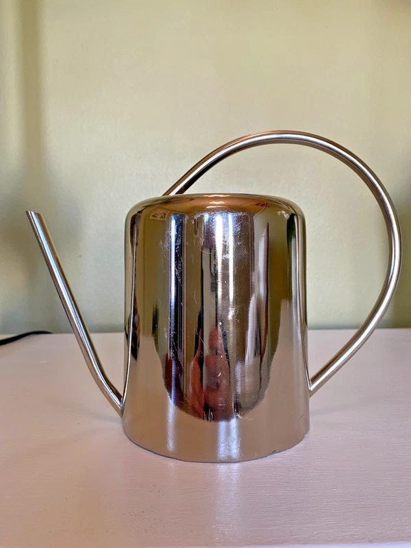Decorative Modern Watering Can