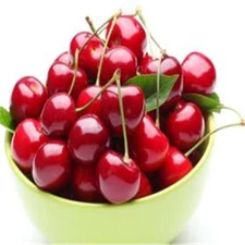 Sweet Cherry Seeds - Shrub Prunus Cerasus Tree Seeds - Big Fruit - Non GMO - DIY
