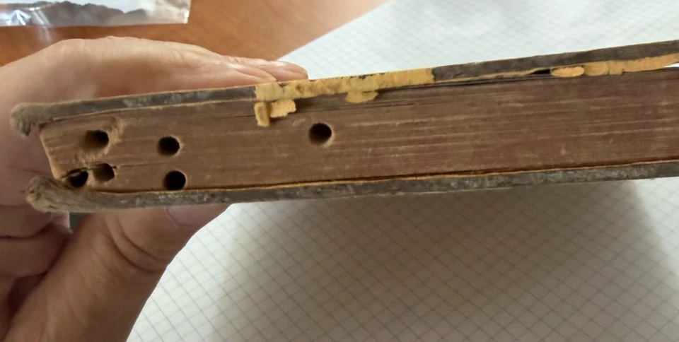 复古音乐书 1880 The Conqueror — 第 4/4 张图片