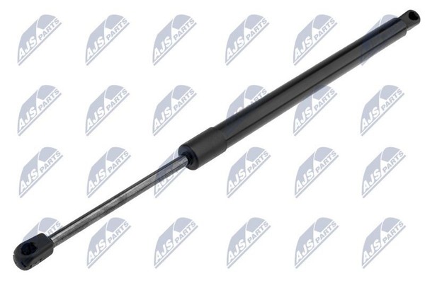 Nty Gasfeder, Koffer-/Laderaum AE-CH-023-image