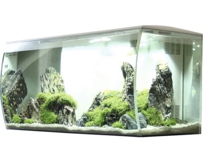 Aquarium Fluval Flex 123 l inkl. LED-Beleuchtung, Filter, Schaumstoffunterlage o