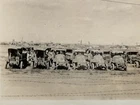 Vintage Photo WW1 US Military Trucks Truck Barbwire Fence Texas