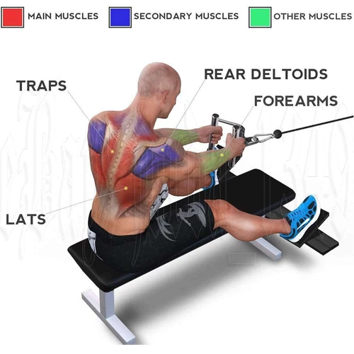 Triangle Close Grip Bar Gym Cable Attachment Back Workout Seated V Row Handle AU - Picture 6 of 14