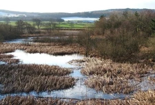 Photo A3 The Fishpond Thornton Steward Old editions of the six inch OS m c2015