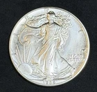 1988 American Silver Eagle 1 Oz .999 Fine Coin, No Reserve #20