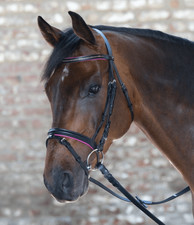 Waldhausen Fuchsia WB Trensenzaum Star Diamond