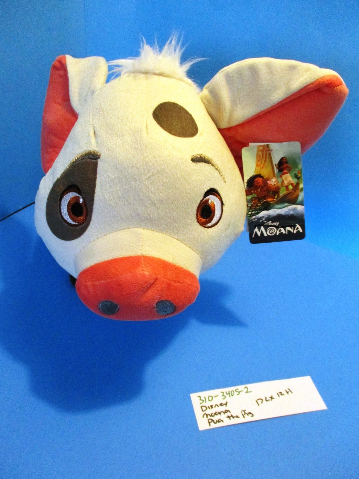 pua moana teddy